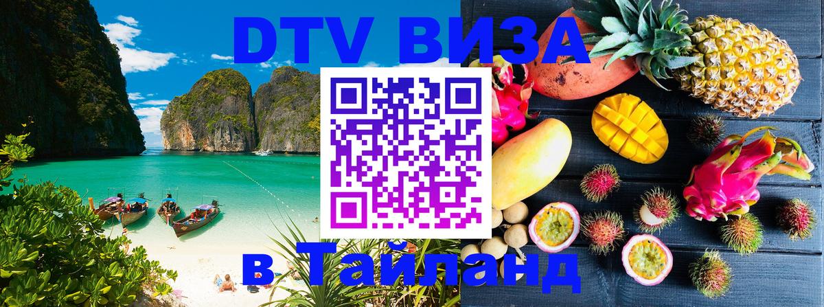 Оформление DTV визы под ключ: стоимость и тарифы, только загранпаспорт - 18.11.2025 